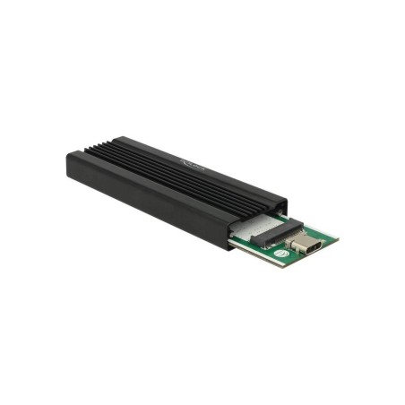 DeLOCK Ekstern Lagringspakning USB 3.1 (Gen 2) M.2 Card